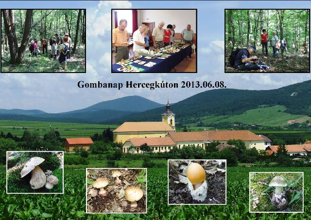 2013_06_08Gombanap_Hercegkuton